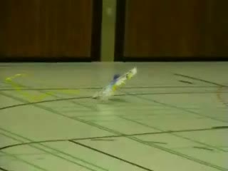 Spetacular Flight Demonstration