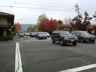 Cars on Street
