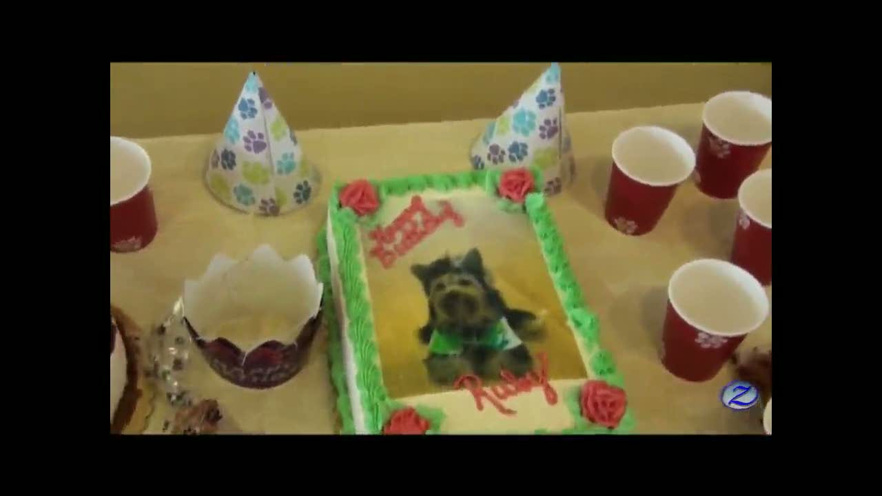 Ruby and Maui Birthday