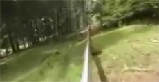 Awesome Alpine Coaster