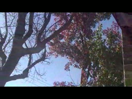 Planet earth